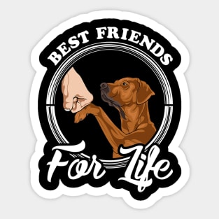 Funny Rhodesian Ridgeback Rhodesian Ridgeback Lover Sticker